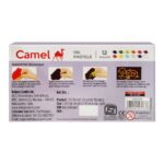 camel oil pastel 12 shades